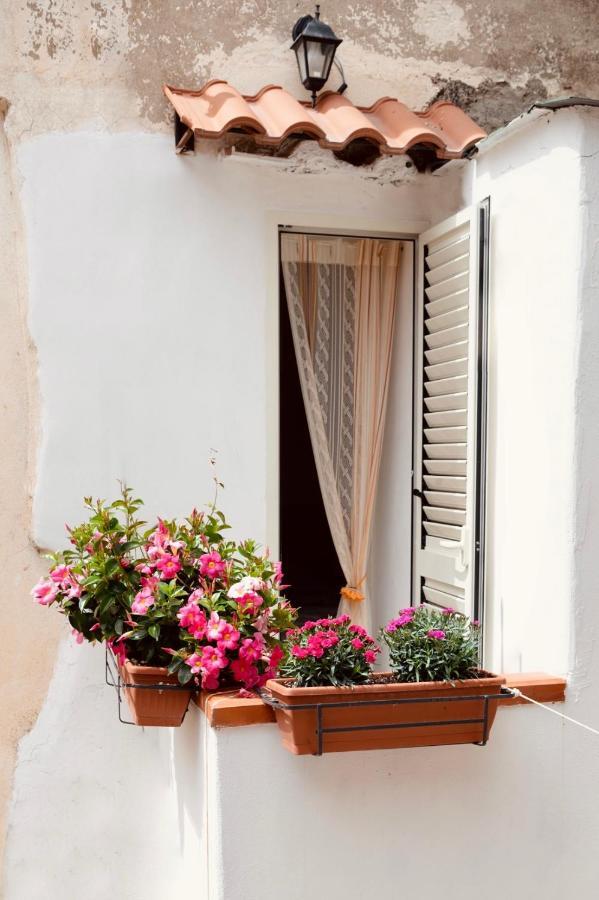 Il Riccio Apartment 28 Procida Kültér fotó